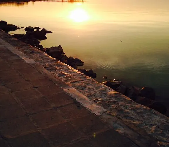 In - Balaton 19994 * شيوفوك